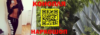 индика Ипатово