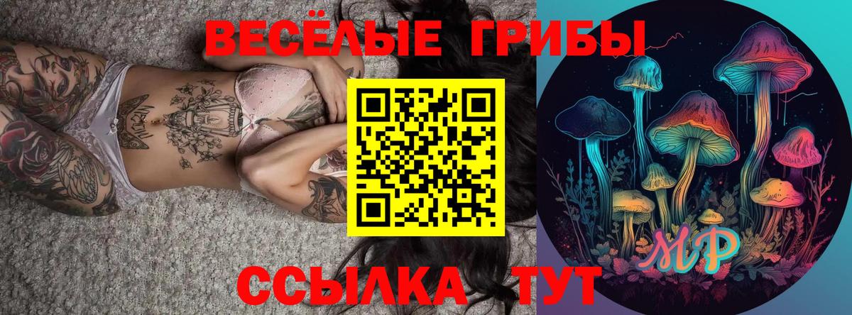 Галлюциногенные грибы Cubensis  Вход с VPN  Галлюциногенные грибы Psilocybe  Орёл 