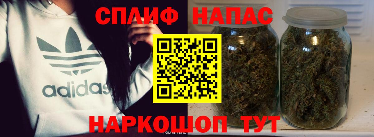 Конопля сатива Орёл